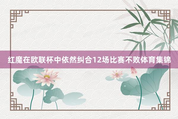 红魔在欧联杯中依然纠合12场比赛不败体育集锦