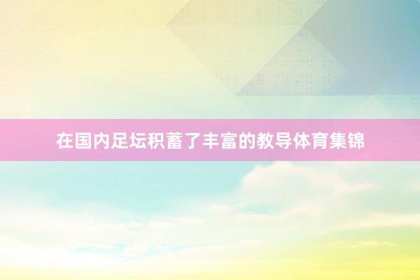 在国内足坛积蓄了丰富的教导体育集锦