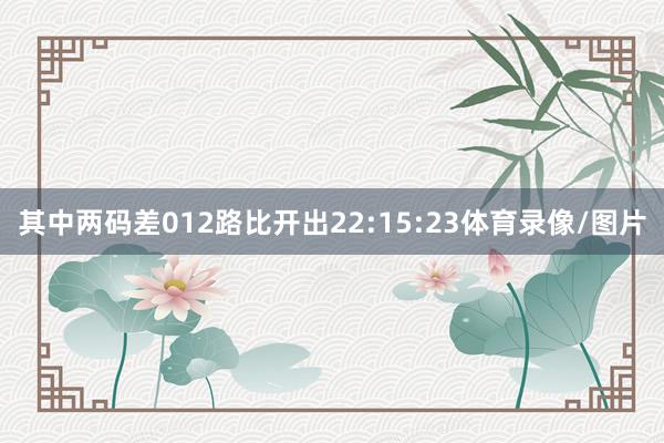 其中两码差012路比开出22:15:23体育录像/图片