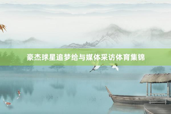 豪杰球星追梦给与媒体采访体育集锦