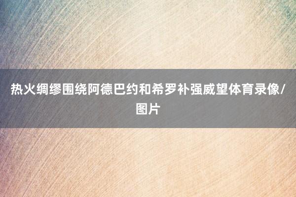 热火绸缪围绕阿德巴约和希罗补强威望体育录像/图片