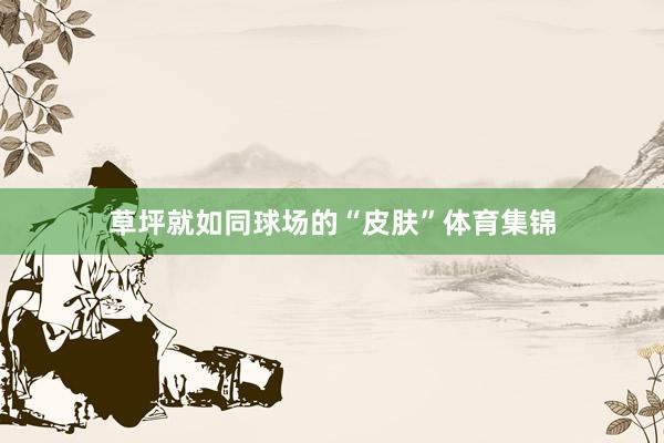 草坪就如同球场的“皮肤”体育集锦