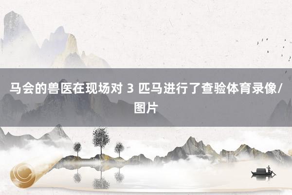 马会的兽医在现场对 3 匹马进行了查验体育录像/图片