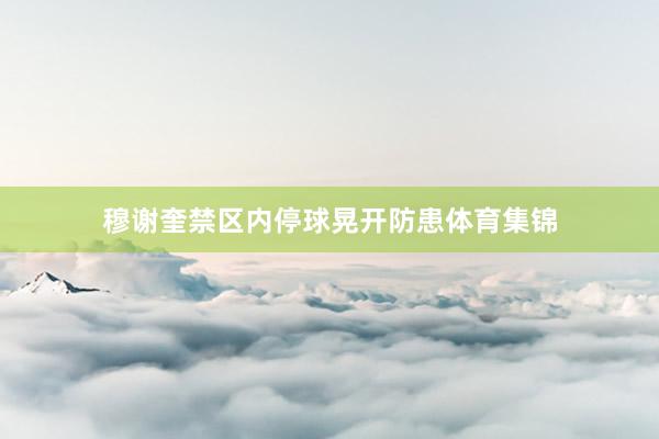 穆谢奎禁区内停球晃开防患体育集锦