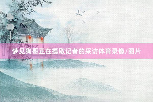梦见狗哥正在摄取记者的采访体育录像/图片