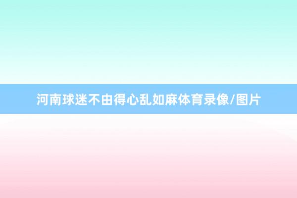 河南球迷不由得心乱如麻体育录像/图片