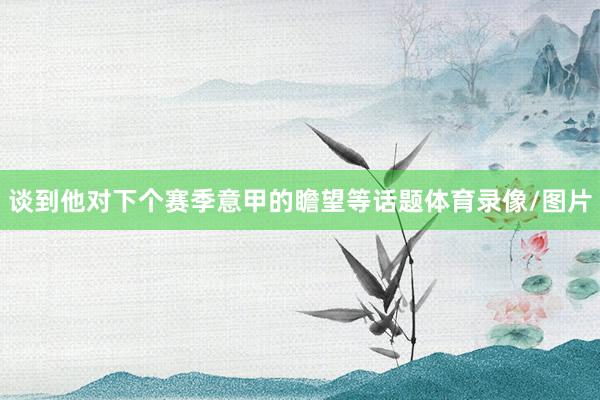 谈到他对下个赛季意甲的瞻望等话题体育录像/图片