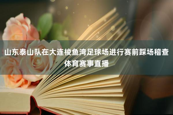 山东泰山队在大连梭鱼湾足球场进行赛前踩场稽查体育赛事直播