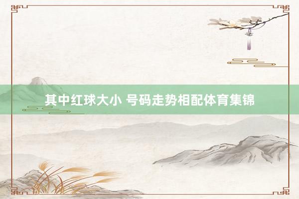 其中红球大小 号码走势相配体育集锦