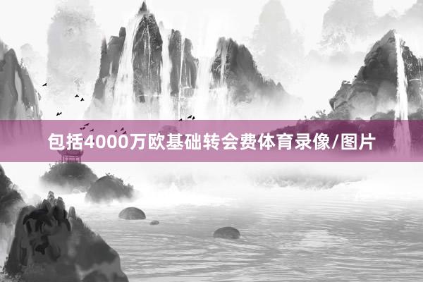 包括4000万欧基础转会费体育录像/图片