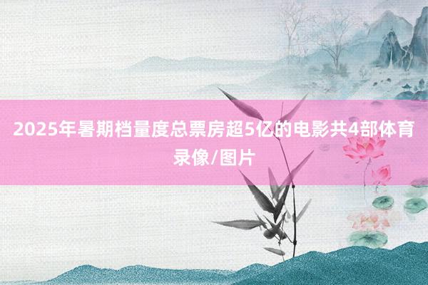 2025年暑期档量度总票房超5亿的电影共4部体育录像/图片