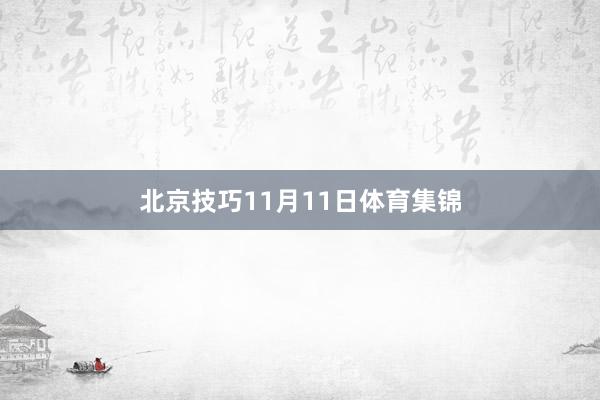 北京技巧11月11日体育集锦