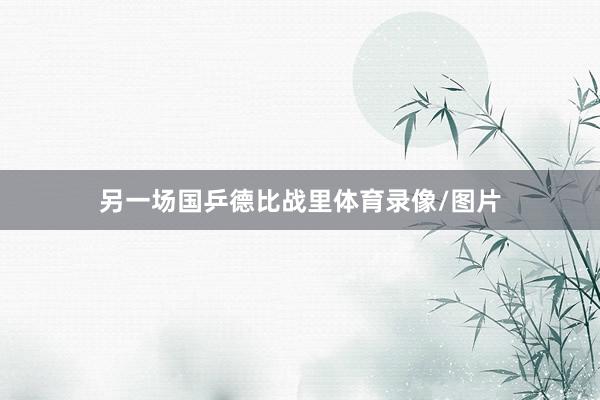 另一场国乒德比战里体育录像/图片