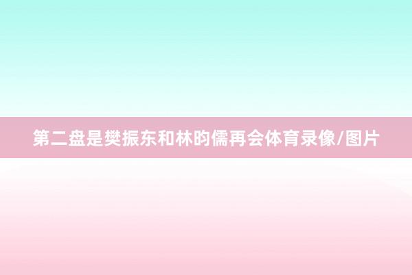 第二盘是樊振东和林昀儒再会体育录像/图片