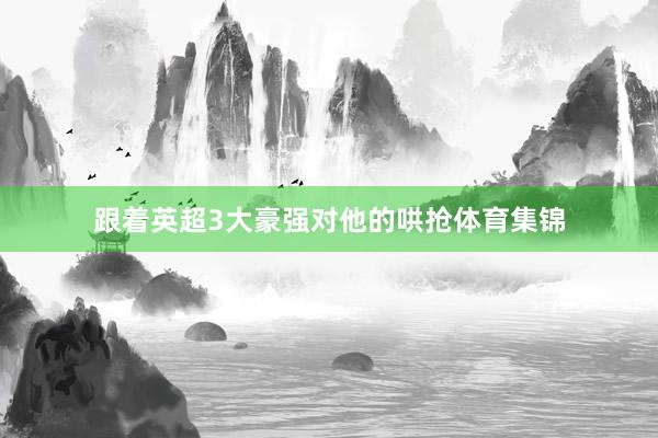 跟着英超3大豪强对他的哄抢体育集锦