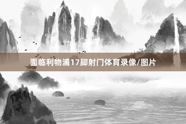 面临利物浦17脚射门体育录像/图片