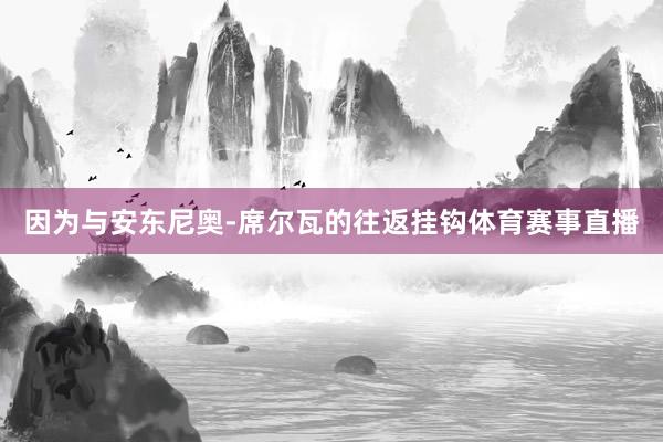 因为与安东尼奥-席尔瓦的往返挂钩体育赛事直播