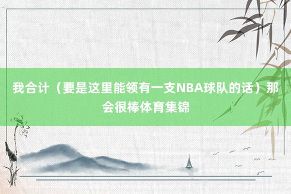 我合计（要是这里能领有一支NBA球队的话）那会很棒体育集锦