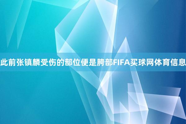 此前张镇麟受伤的部位便是胯部FIFA买球网体育信息