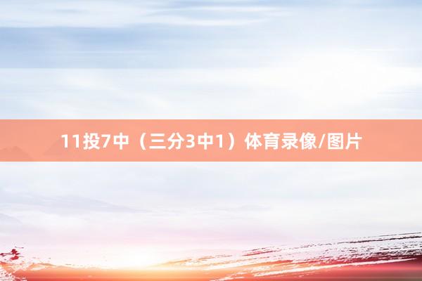 11投7中（三分3中1）体育录像/图片