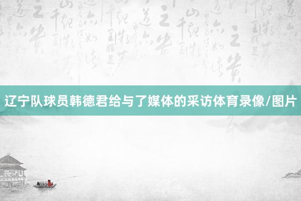 辽宁队球员韩德君给与了媒体的采访体育录像/图片