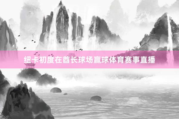 纽卡初度在酋长球场赢球体育赛事直播