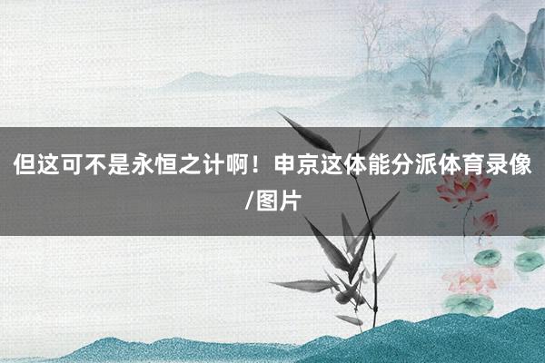 但这可不是永恒之计啊！申京这体能分派体育录像/图片