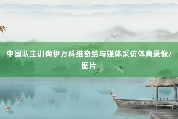 中国队主训诲伊万科维奇给与媒体采访体育录像/图片