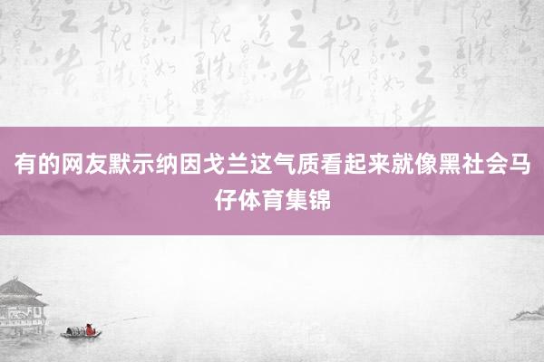 有的网友默示纳因戈兰这气质看起来就像黑社会马仔体育集锦
