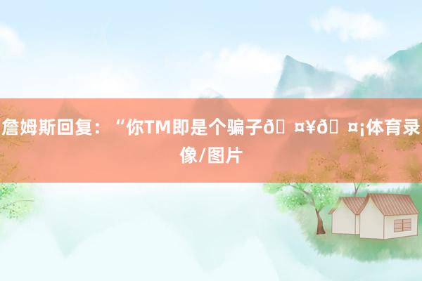 詹姆斯回复：“你TM即是个骗子🤥🤡体育录像/图片