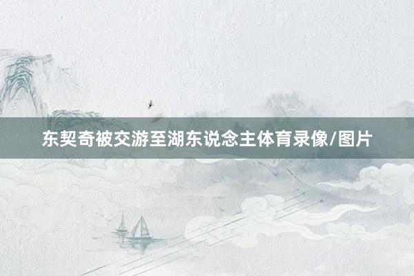 东契奇被交游至湖东说念主体育录像/图片