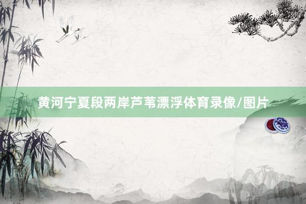 黄河宁夏段两岸芦苇漂浮体育录像/图片