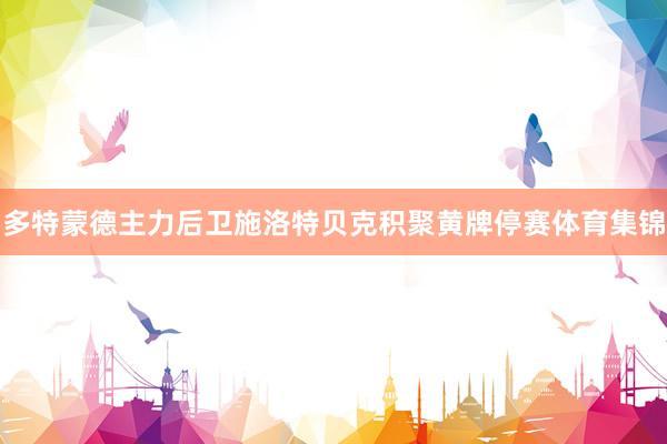 多特蒙德主力后卫施洛特贝克积聚黄牌停赛体育集锦
