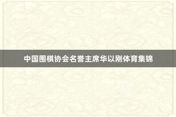 中国围棋协会名誉主席华以刚体育集锦