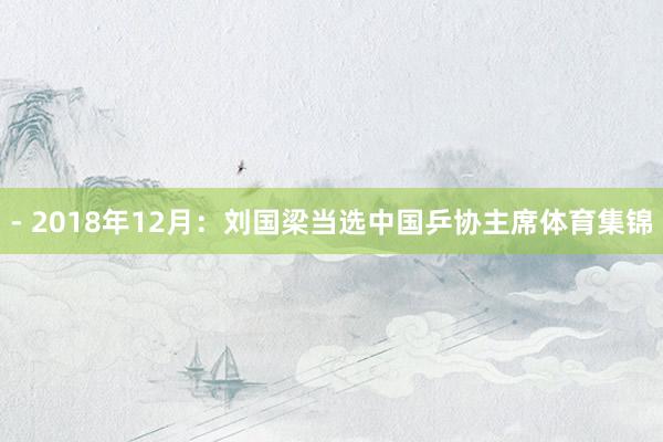 - 2018年12月：刘国梁当选中国乒协主席体育集锦