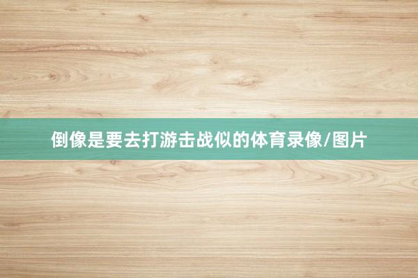 倒像是要去打游击战似的体育录像/图片