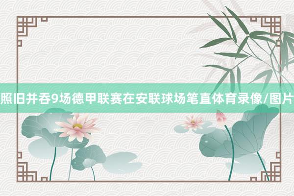 照旧并吞9场德甲联赛在安联球场笔直体育录像/图片