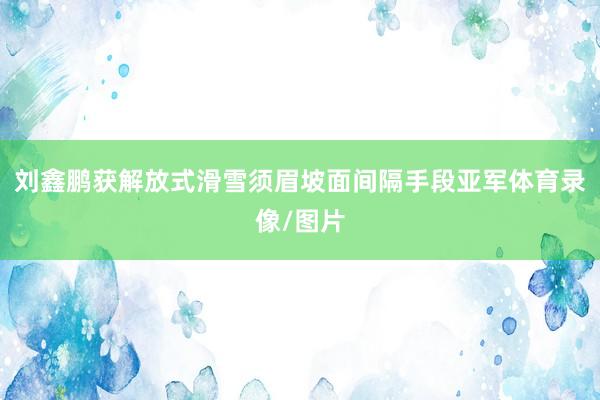 刘鑫鹏获解放式滑雪须眉坡面间隔手段亚军体育录像/图片