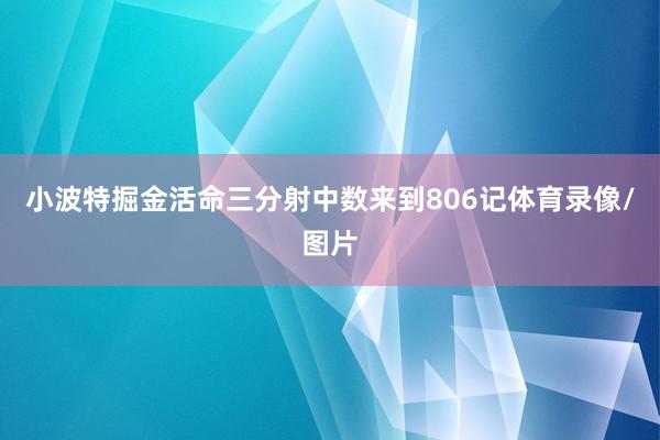 小波特掘金活命三分射中数来到806记体育录像/图片