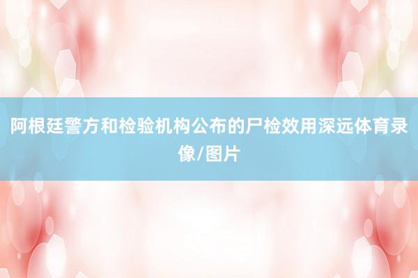 阿根廷警方和检验机构公布的尸检效用深远体育录像/图片