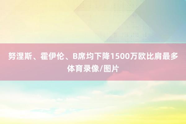 努涅斯、霍伊伦、B席均下降1500万欧比肩最多体育录像/图片