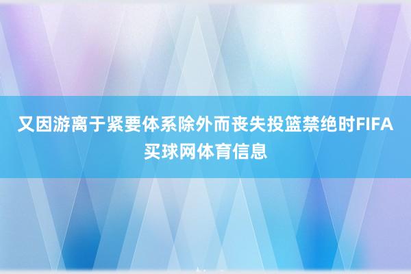 又因游离于紧要体系除外而丧失投篮禁绝时FIFA买球网体育信息