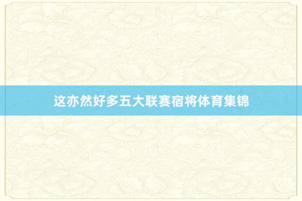 这亦然好多五大联赛宿将体育集锦
